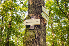 IMG_20200622_171356680_HDR