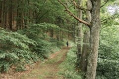 Pernstejn
