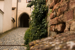 Trebic Castle