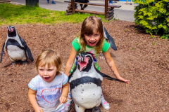 Silesian Park - ZOO