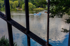 Silesian Park