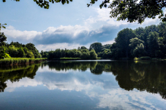 Silesian Park