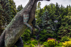 Silesian Park - ZOO