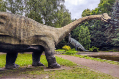 Silesian Park - ZOO
