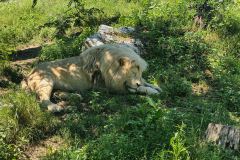 Hodonin_Zoo_08