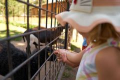 Hodonin_Zoo_15