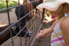 Hodonin_Zoo_16