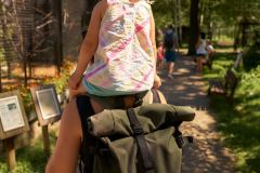 Hodonin_Zoo_18