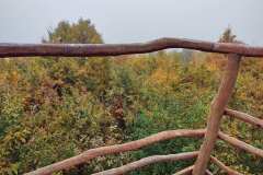 Chvalovka Observation Tower