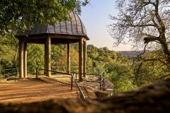 Wooden dome