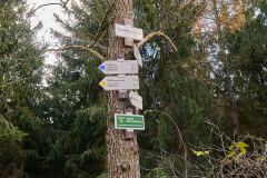Path to Observation Tower Klucanina