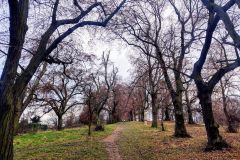 The cross way to the Holy Trinity Chapel
