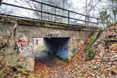 Under the train