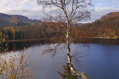 20201117_Karasin_vn_Vir_044