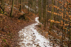 Blue path in the Josefov udoli