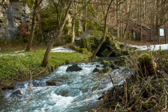 Bull's rock