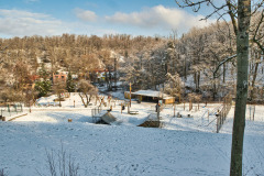 Neslovice