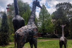 Kovozoo-7
