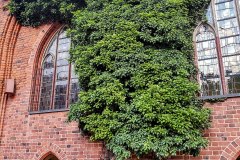 Malbork Castle