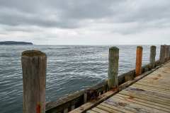 EEWeb_Sopot_GGP5913