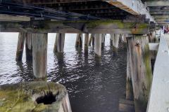 IMG_20210703_120129166_HDR2
