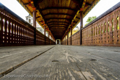 201405_Cerna_Hora_Lysice_00015