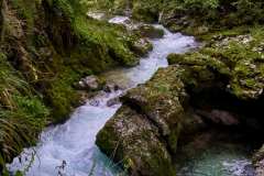 GGP_Slovenia_Vintgar_GGP06700