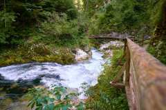 GGP_Slovenia_Vintgar_GGP06722