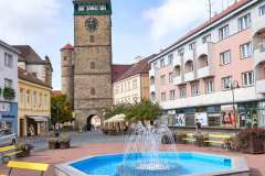 View on Valdice gate
