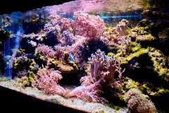SeaWorld Prague